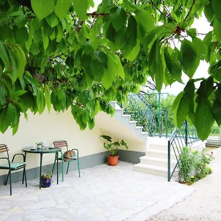 House Duje Plano