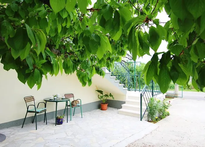 House Duje Plano
