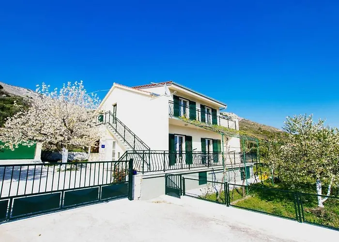 House Duje